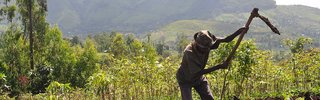 1200px-Ethiopian_farmer_at_work_on_his_land.jpg