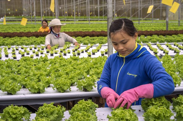 The roads travelled for work - Women Migrant Workers in Singapore and Malaysia. Photo by UN Women.