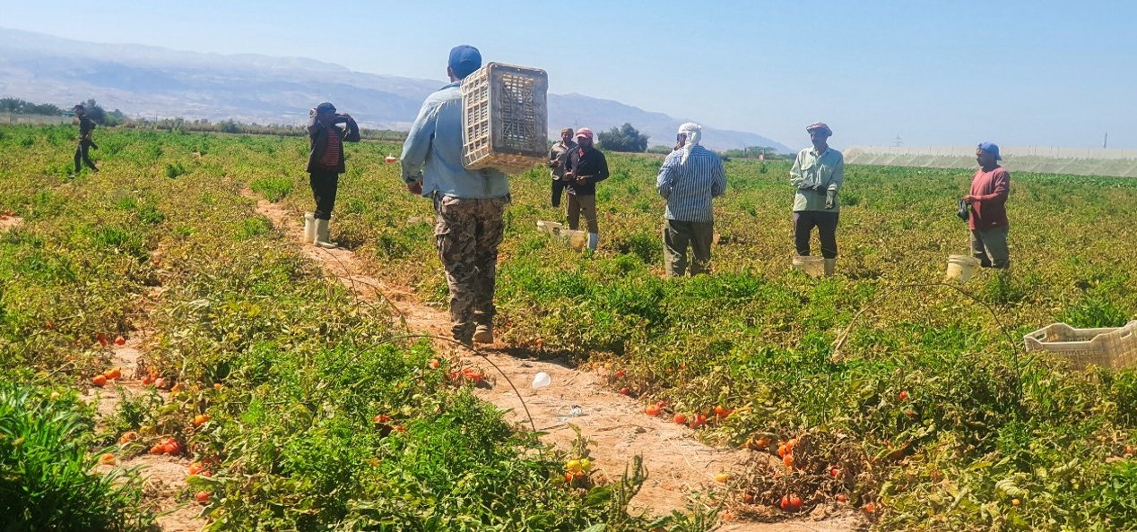 MIDEQ - Migration for development and equality