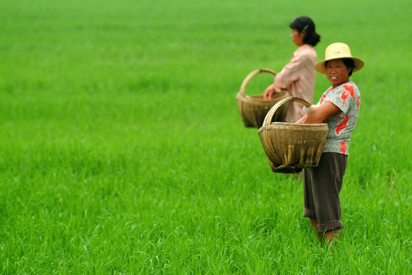 Women near Hefei in the Chinese province of Anhui.jpg